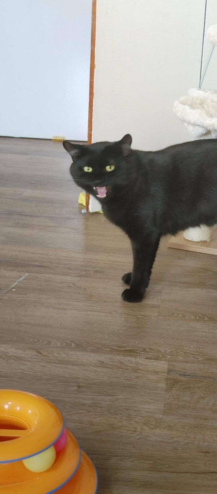 These Were The Pictures From His Sitter…