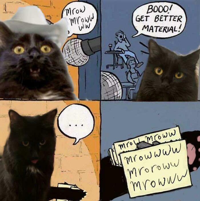 My Cat Gives Yelling Performances Every Night At Around 2am, I Thought She Deserved Her Own Get Better Material Meme