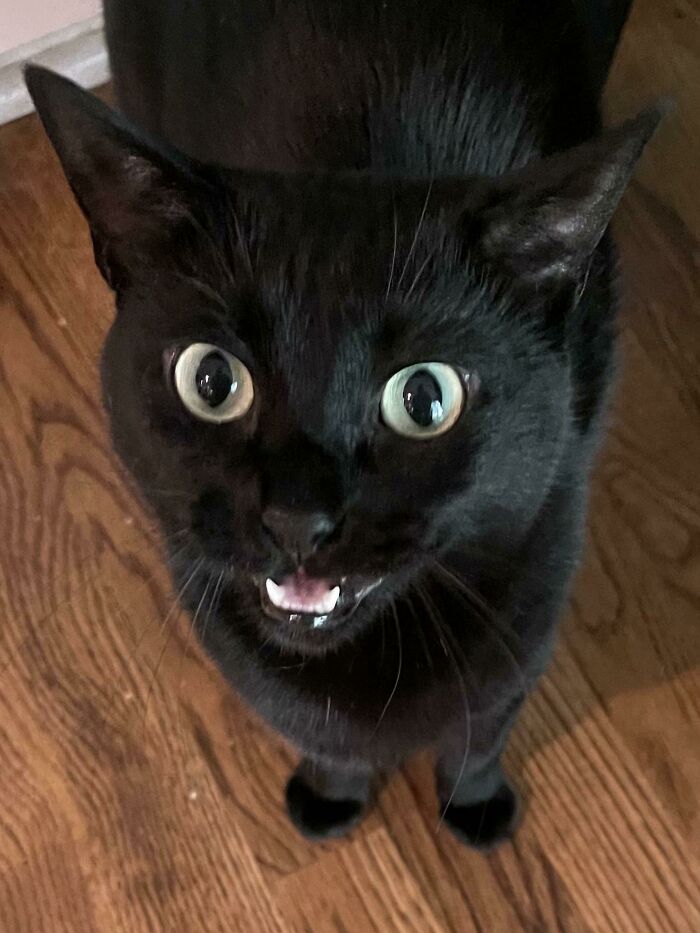 My Little Lady, Ted, Who Must Tell Me Everything On Her Mind