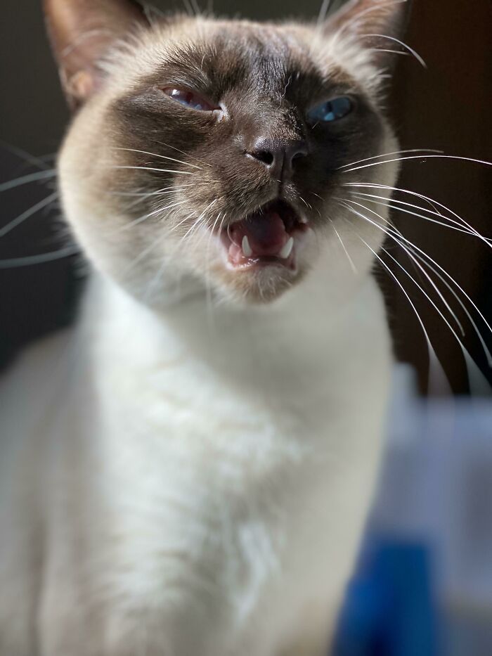 Every Time I Pee, The Whole Time I’m Peeing, Fred Sings The Song Of Her People To Me