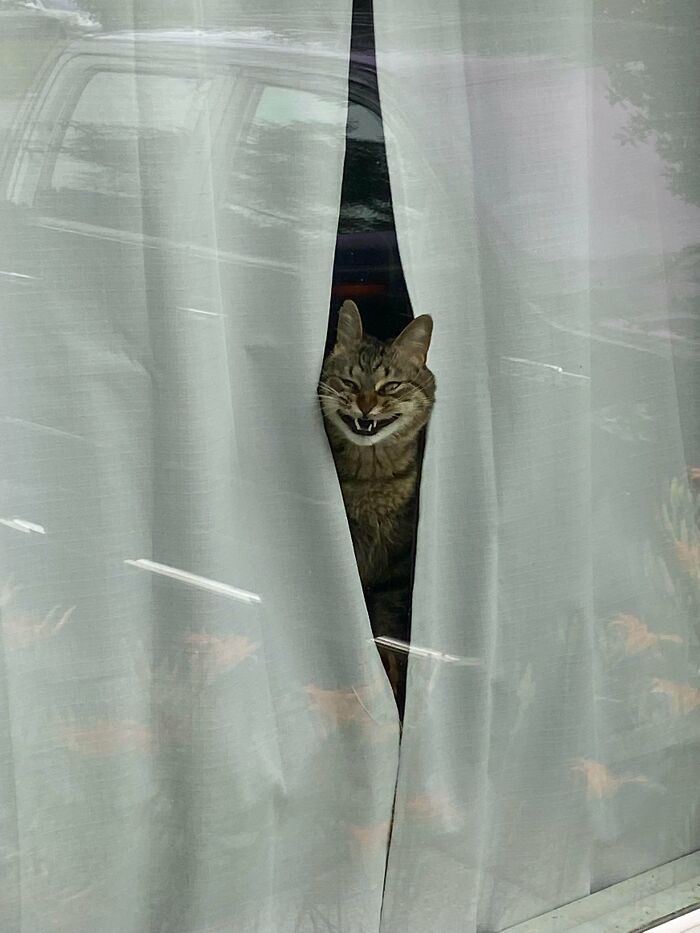 Está enojado porque no puede salir