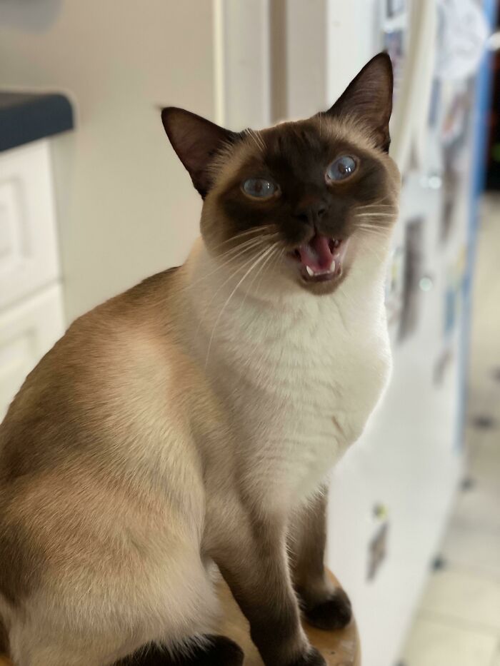 Estamos en medio de una tormenta de nieve y Fred está encantada porque eso quiere decir que nos encontramos todos en casa para escuchar la canción de su gente