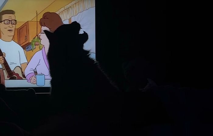 Welcome To Purrassic Park