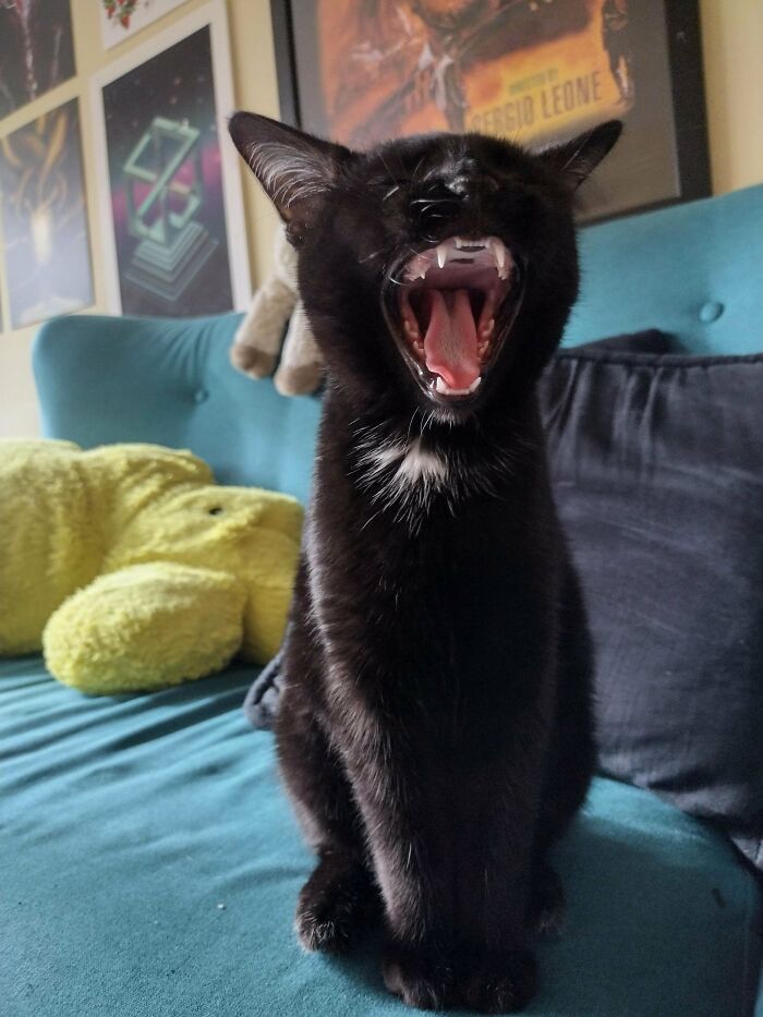 Oogie Demands More Playtime!