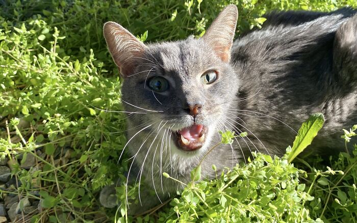Rudy se las arregló para quedarse un último fin de semana. Gracias, dulce amigo. 13 años de tu amor me hicieron sentir más de lo que puedo decir con palabras