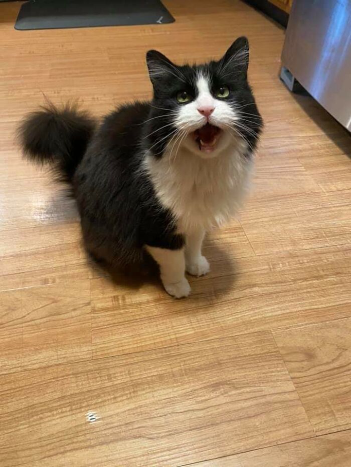 Todo el mundo dígale feliz cumpleaños a mi reina de los gritos que cumple 15 años