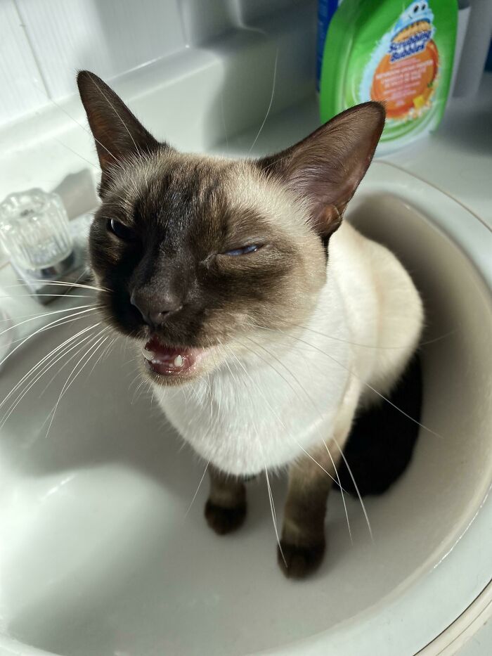 Bathroom Yells. Every Day