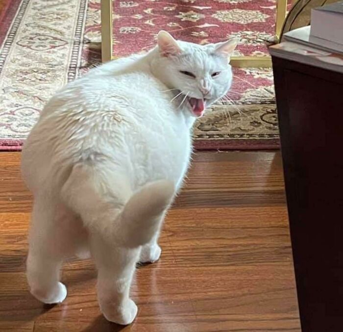 Makin’ A Say And Doin’ A Tell