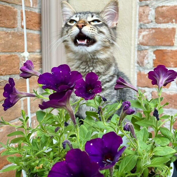 Está muy emocionado de estar afuera