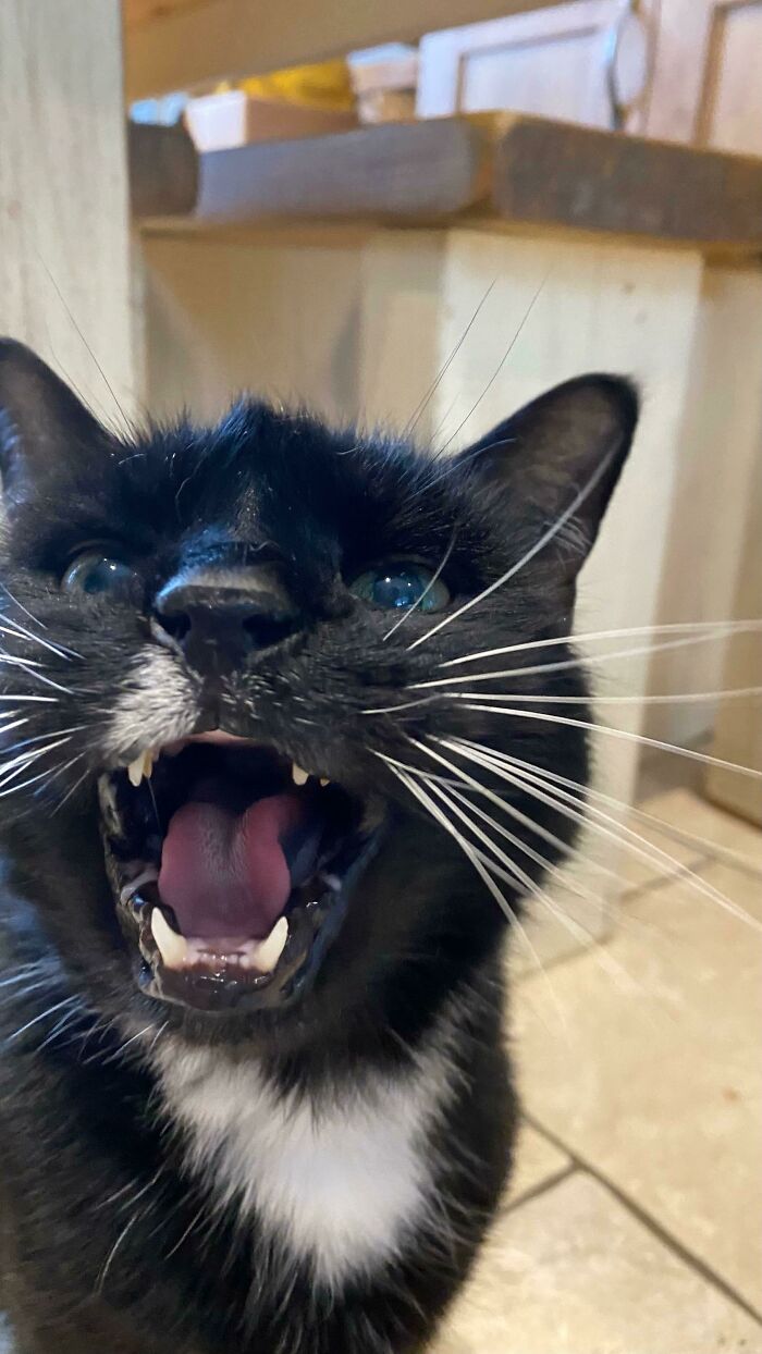 Hes Back And Hungrier Than Ever