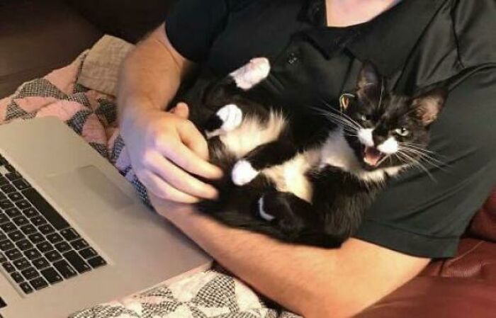 Mi niña charlatana falleció hace 2 años, pero me apareció esto en Facebook y es mi foto favorita de ella