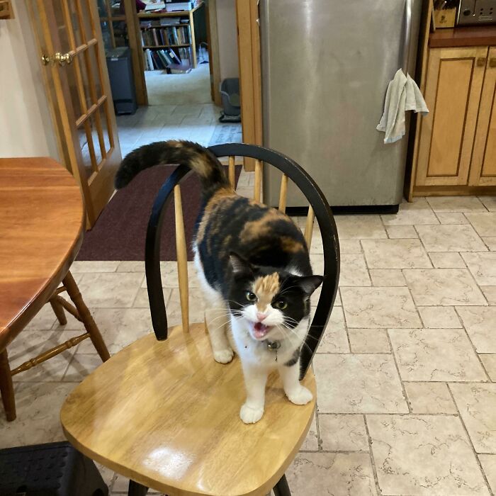 Loosey Isn’t Sure That You Really, Truly Understand About Second Breakfast