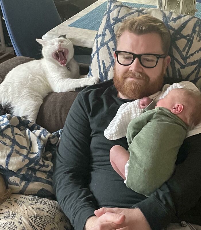 We Just Brought Home The New Family Member From The Hospital