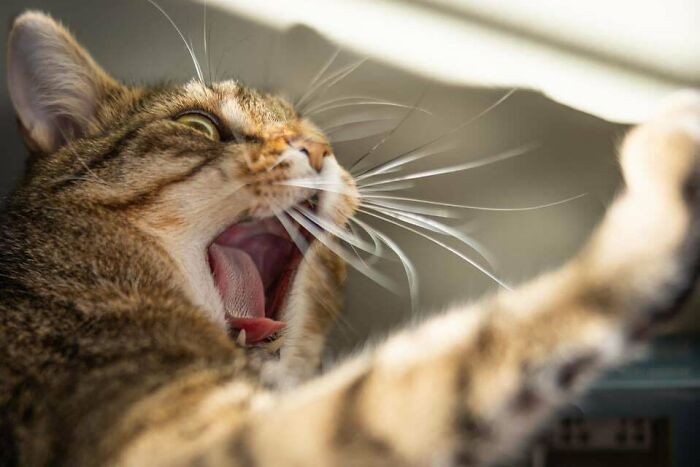 I Just Got A Pretty Crazy Camera Lens And It Was 8 Degrees Out Today