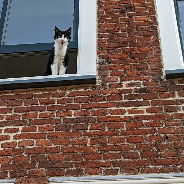 Yelling At Me For The Crime Of *checks Notes* Leaving Her Alone With Her Sister For An Hour