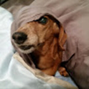 chastityelizabeth_1 avatar