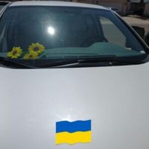 thesearemybooks2 avatar