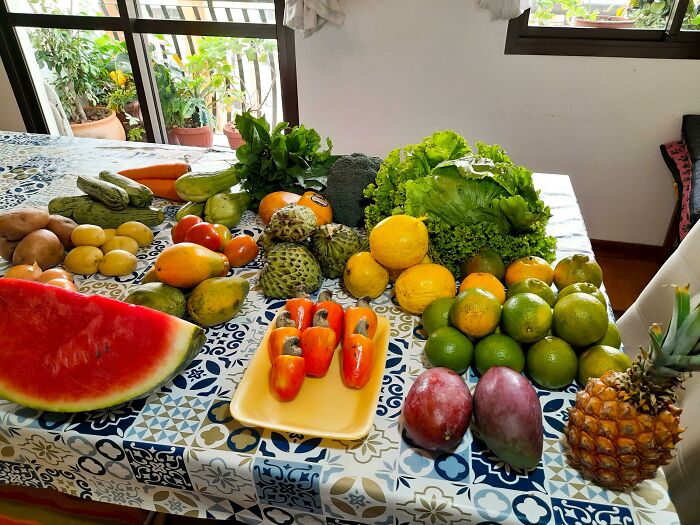 ¡35$ en alimentos en Brasil!