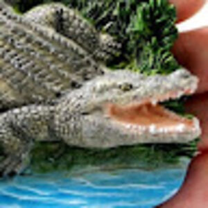 andrewwildman avatar