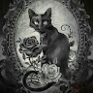 ashleywilhoit avatar