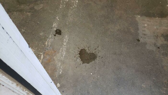 Today Is The One-Year Anniversary Of My Wife's Passing. As I Walked Into My Shop, I Spilled My Water. She Gave Me A Reminder That Today Will Be Just Fine