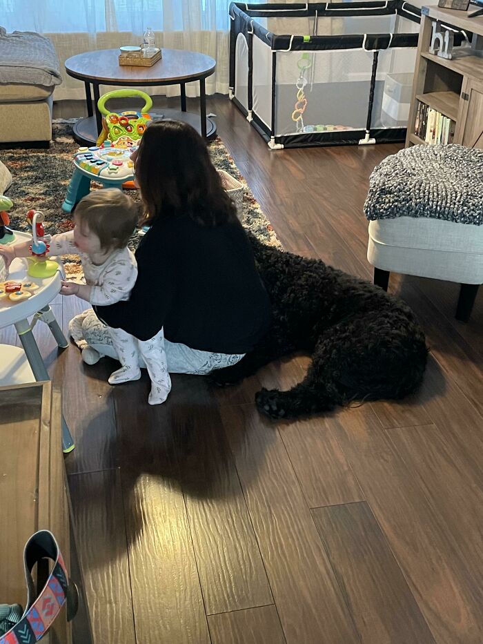 Had No Idea My Wife Was Part Dog