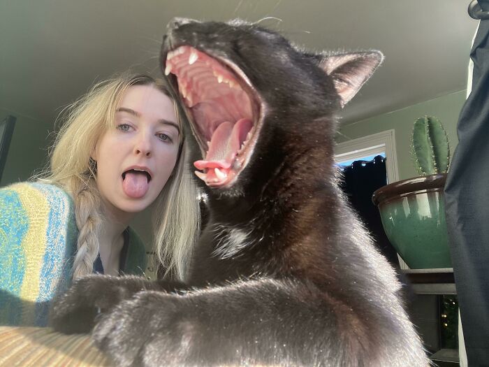 Who Let This Panther In My House??