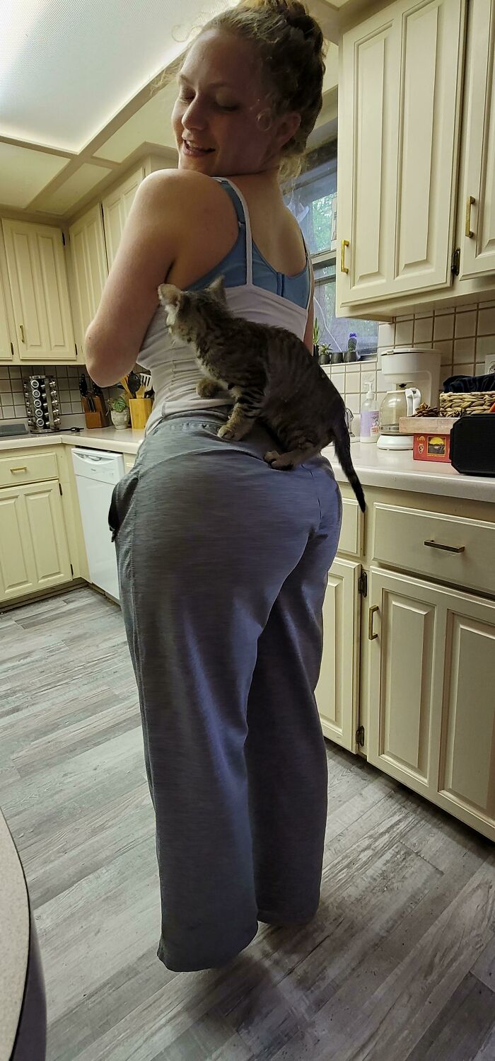 My Wife Had Feet The Last Time I Checked