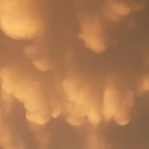 samlillianstumpf avatar