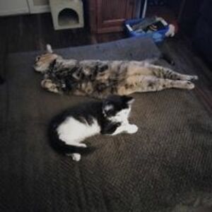 oliver66susan avatar