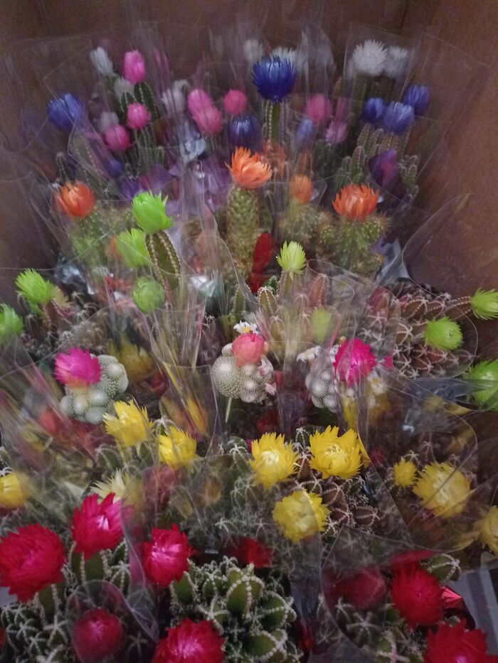 I've Never Felt The Need To Post A Haul Until This