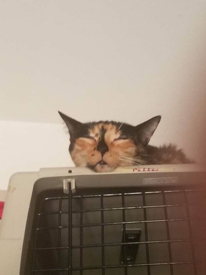 Best Dumpster Dive Ever