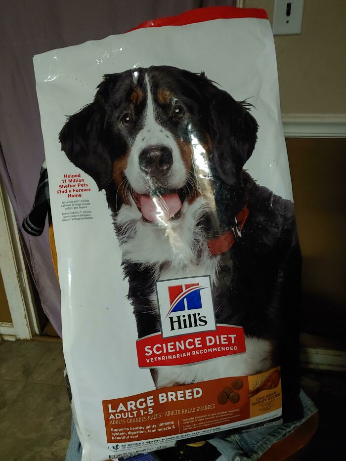 Was Out Of Dogfood And Broke Af. Thought I'd Take A Peek In The Pet Store Dumpster. Score