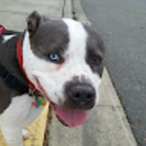 chantzbentonfield avatar