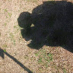 gilbertwilcox avatar