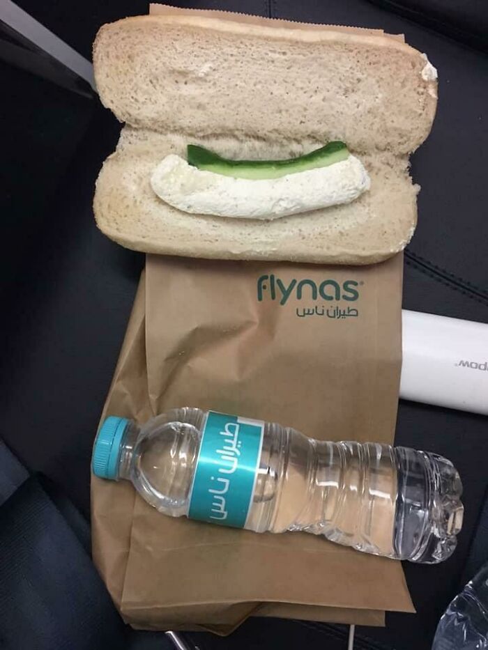 Flying Domestic And Its Wonders