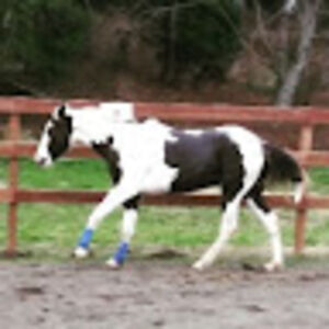 rebeccaasbury avatar