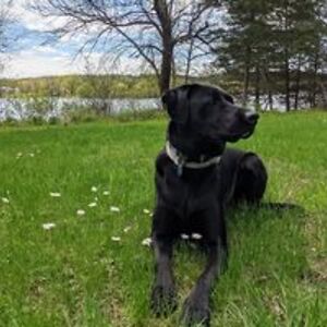 amyleighrieke avatar