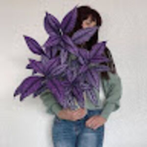 lidiahumphrys avatar