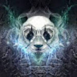 panda_alpha avatar