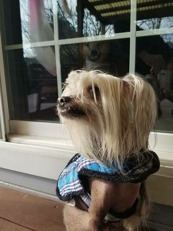 When You See It. No Solicitors