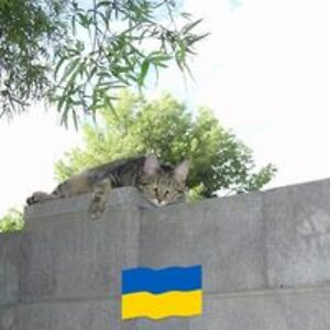 kathleenniska avatar