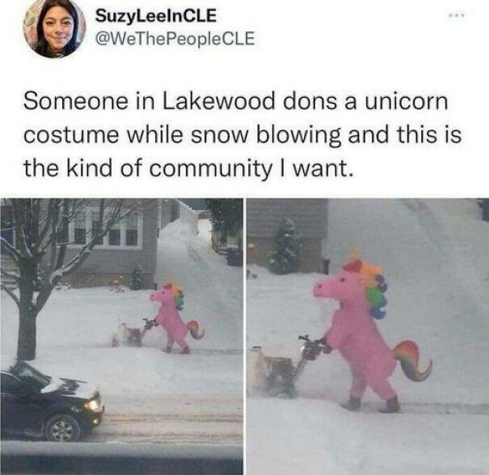 Thanks, I Love This Person's Approach To Winter