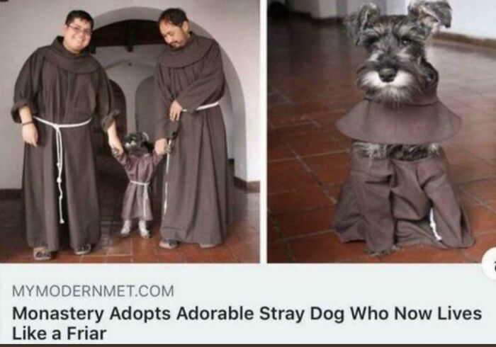 Thanks I Love Friar Doggo