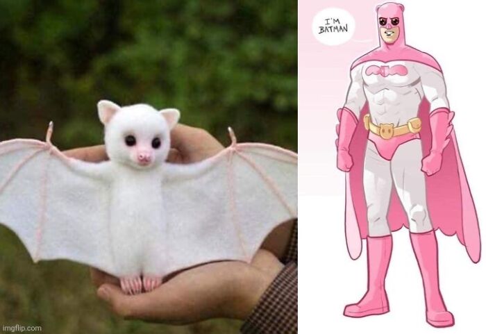 Thanks, I Love Batman!!