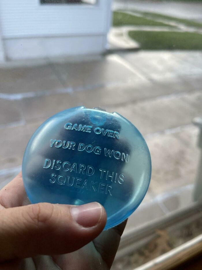 Thanks, I Love This Message Stamped On The Squeaker Inside A Stuffed Animal For Dogs