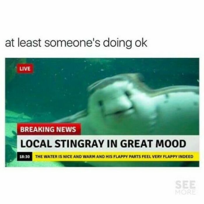 Thanks, I Love Happy Aquatic Bois