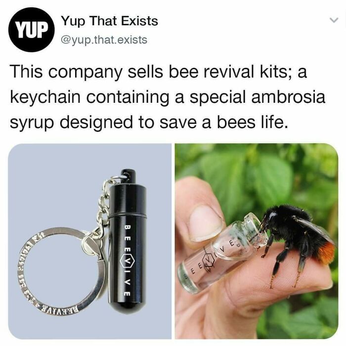 They Reinvented Sugar Water