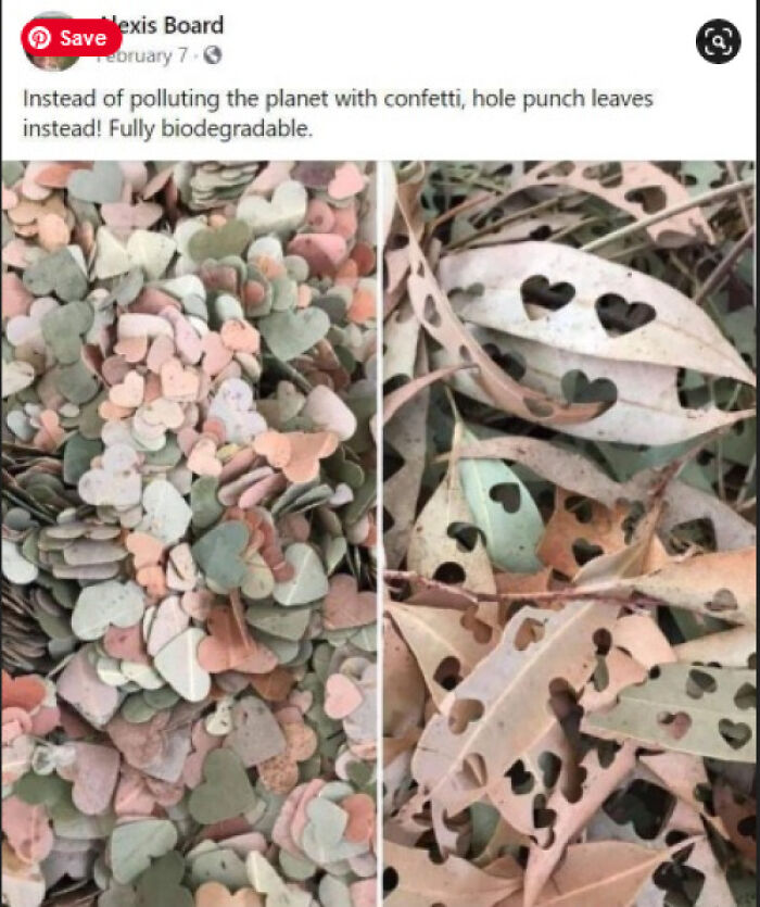 Saw This And Thought It Was A Super Cute Idea! Would Be Perfect For An Outdoor Celebration