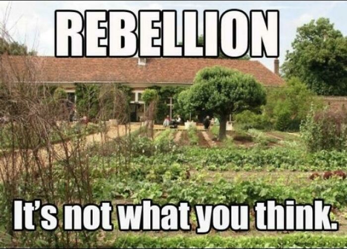 And Companies Even More